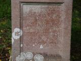 image of grave number 919790